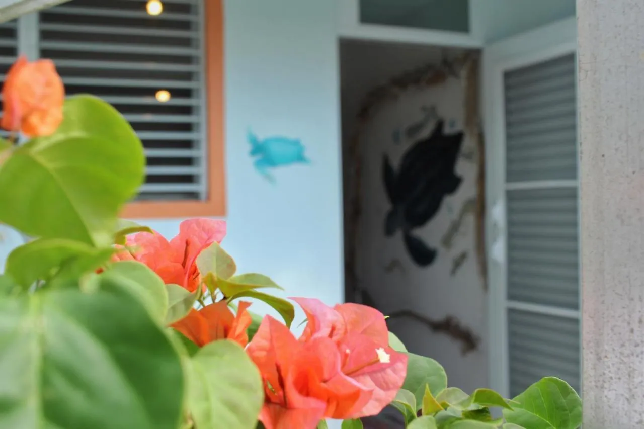 Luquillo Beach Hostel